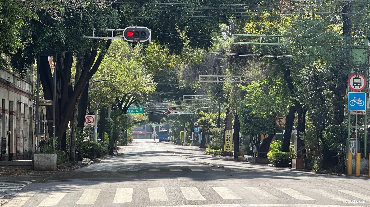 Tree-lined boulevard in Mexico City